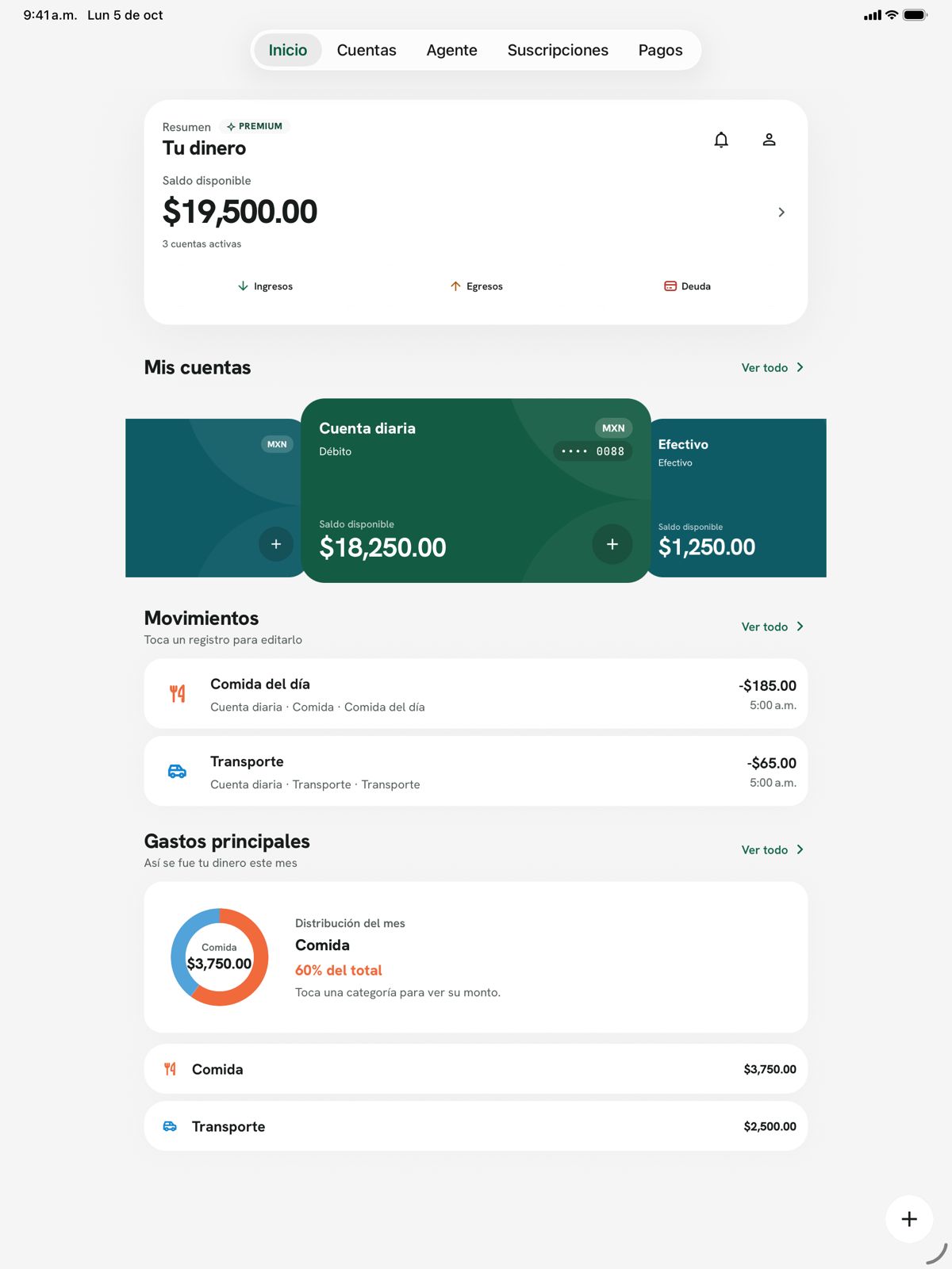 FinanciaApp en iPad: resumen y gastos principales
